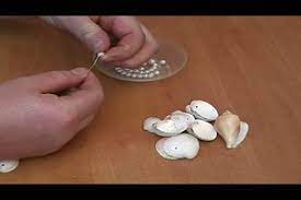 Teilt euch in gruppen ein. Video Kette Selber Machen Mit Muscheln So Geht S