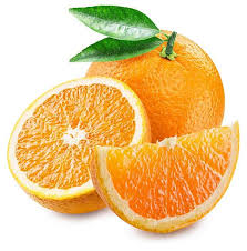 The mandarin orange (citrus reticulata), also known as the mandarin or mandarine, is a small citrus tree with fruit resembling other oranges, usually eaten plain or in fruit salads. Can Siberian Huskies Eat Oranges Pets Kb