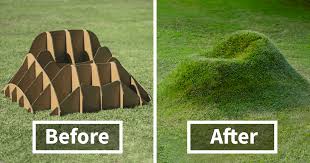 Grow Your Own Grass Chair In Your Backyard Backyard Furniture Backyard Grass