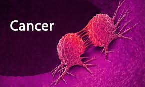 The fact that more than 20 percent of these patients will be nearly facing death, makes it extremely important to take necessary actions to know how oral cancer happens and prevent it from occurring. Oral Cancer Pain Predicts Likelihood Of Cancer Metastasis Finds Cancer
