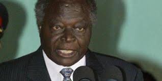 V roce 1963 byl kibaki zvolen poslancem za volební kibaki upadl v nemilost u prezidenta moi v březnu 1988 a byl odvolán jako viceprezident a. Mwai Kibaki