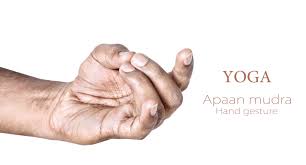 Hand mudras are hand positions for meditation. Yoga Mudras With Pictures Hasta Mudras Hand Gestures Yogateket