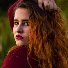 10 melhores fotógrafos de natureza para Curitiba