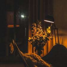 #late night #aesthetic #late night aesthetic #night #my photos #photography #3:00am #not a quote. Heinvik Tumblr Blog With Posts Tumbral Com