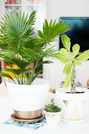 Si vous avez envie de customiser vos pots dans un style plus épuré, alors vous allez adorer le diy suivant. Customiser Un Pot En Terre Cuite 20 Idees Magnifiques Video