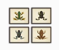 Take a hint from interior stylists and use decorative accessories to create a unique look at home. Frogs Print Reptiles Illustration Amphibian Poster Bathroom Etsy Frog Wall Art Art Print Set Wall Art Decor