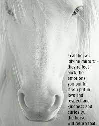 Pin By Paincaster Souless On Horses Inspirational Horse Quotes Equine Quotes Horse Riding Quotes