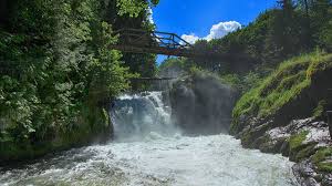 We did not find results for: New Name For Tumwater Falls Park Thurstontalk