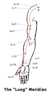 pressure points a sceptical examination iain abernethy