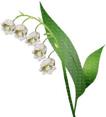 Последние твиты от muguet (@muguetzzle). Muguet Muguet Picmix