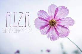 Aiza Shine Serif Regular Font Types Of Purple Flowers Flower Names Types Of Flowers