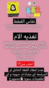 تغذيه القطه النفاس Movies Movie Posters Poster