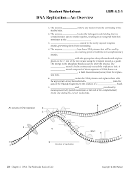 Feel free to contact me if you need any help! Dna Replication Worksheet Answer Key Nidecmege