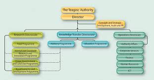 Organisation Structure Teagasc Agriculture And Food