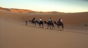 The overnight camel trek tour begins in evening, we organize the camel ride for the night in merzouga sahara desert from a hotel near the erg chebbi sand dunes, and the camels will be packed with foods and everything else, which we will need in our merzouga camel trekking for an. Merzouga Camel Trekking In Morocco Night Sunrise Sunset Camel Rides