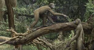 Ancient hominid used unusual hips to combine walking and climbing | Science  News