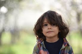 Your little toddler or baby boy may also. 20 Hip Toddler Hairstyles Inspiration For Boys