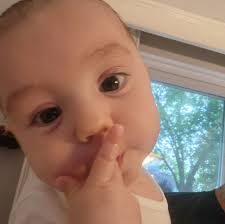 Where to find a 2019 impreza passenger rear door?