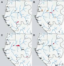 Image result for Inversodicraea