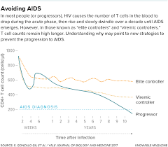 pathways to a cure for aids