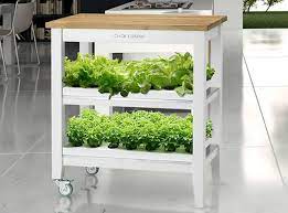 Robotic Garden By Click Grow Holycool Net Indoor Herb Garden Indoor Vegetable Gardening Herb Garden Kit