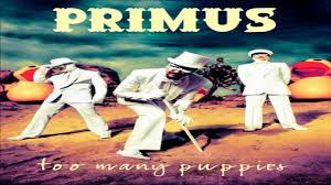 Bass tablature for too many puppies by primus. Primus Too Many Puppies P Town Va 2014 On Vimeo