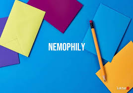 Nch software is a leader in business, video, audio, graphics, and utility software. Arti Kata Nemophily Di Kamus Bahasa Inggris Terjemahan Indonesia Lektur Id