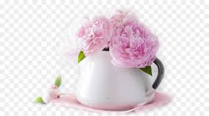 Frohe pfingsten foto & bild von sumsum5 ᐅ das foto jetzt kostenlos bei fotocommunity.de anschauen & bewerten. Stock Fotografie Pfingstrose Blumen Bouquet Pfingstrose Png Herunterladen 716 500 Kostenlos Transparent Rosa Png Herunterladen