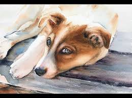 How To Paint A Dog In Watercolor Painting Tutorial Youtube Painting Tutorial Watercolor Paintings Tutorials Watercolor Dog