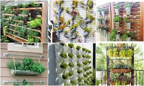Pflanzen Vertikal Anbauen Tolle Ideen Fur Einen Vertikalen Garten Nettetipps De