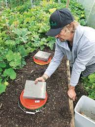 Diy: Build An Underground Worm Farm Suitable For A Cold Climate