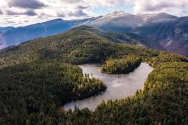Maybe you would like to learn more about one of these? 5 Trout Ponds To Trek To Vermont Sports Magazine