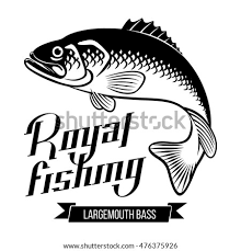 Terkait dengan nama patin sendiri turut disematkan kepada salah satu anggotanya yaitu. Ikan Mas Vector Wallpaper Ikan
