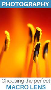 Best Macro Lens In 2020 Which One To Choose And How A Complete Guide In 2020 Macro Photography Tips Macro Lens Photography Photography Lenses
