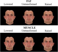 Free character male 3d models are ready for lowpoly, rigged, animated, 3d printable, vr, ar or game. Frontiers The Influence Of Body Composition Effects On Male Facial Masculinity And Attractiveness Psychology