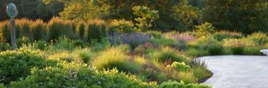 Landarchs Com Key Insights On Planting Design In Our Interview With Top Plantsman Adam Woodruff Landscape Architect Landscape Design Plant Design Landscape