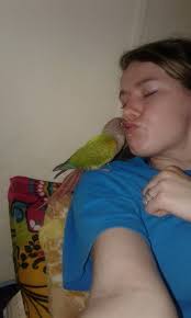 Any suggestions from my bird friends?! Kaycee Jane? :)