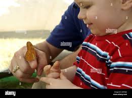 16101 hi-res stock photography and images