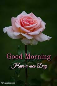 The best gifs are on giphy. 200 Beautiful Good Morning Images Latest Update