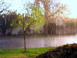 What Type Of Weather Is Your Anger Rainy Day Photos Sunshine Pictures Smell Of Rain