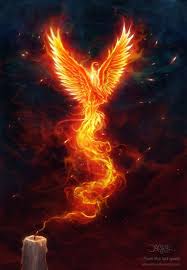 1000 Images About Still I Rise On Pinterest Phoenix The Phoenix Wallpaper Phoenix Image