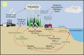 Maybe you would like to learn more about one of these? Soil Management