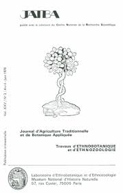 Image result for Pachylobus osika