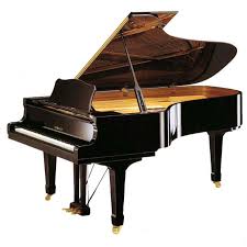 Black Baby Grand Piano Used Impeccable Yamaha C7 Concert Grand Piano Yamaha Grand Piano Yamaha Piano Piano