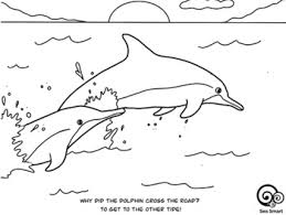 Stats on this coloring page. Dolphin Colouring Page By Sea Smart Teachers Pay Teachers