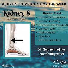 Tiptuesday Acupuncture Point Of The Week Kidney 8 Tcm Integrativehealth Asianvegetarianrecipes Acupressure Treatment Acupuncture Acupressure Therapy