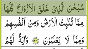 Surah yasin 5 2 update. Surat Yasin Full Text Surat Yasin Aayaat 36 To 42 Read Online Quran Youtube
