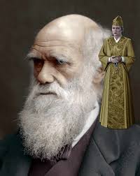 Star Trek Shitposting