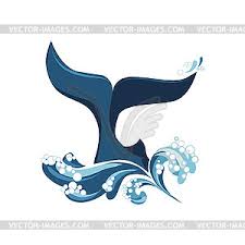 Orca killer whale vector illustration stock vector (royalty free) 687300979. Whale Tail And Waves Vector Clipart