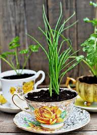 50 Ideen Fur Diy Gartendeko Und Kreative Gartengestaltung Garten Deko Garten Deko Ideen Zimmerkrauter